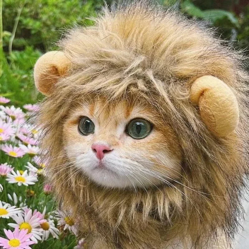 Pet Hairpiece Humorous Lion