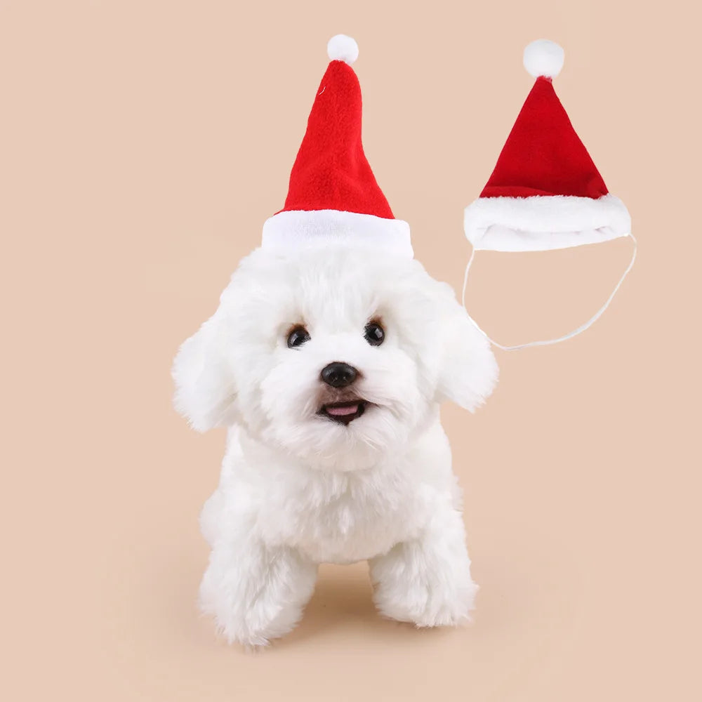 Christmas Dog Santa Costume Outfit