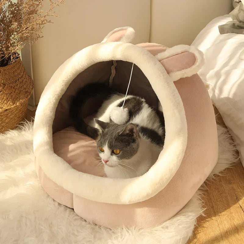 Deep Sleep Cat Bed Cartoon