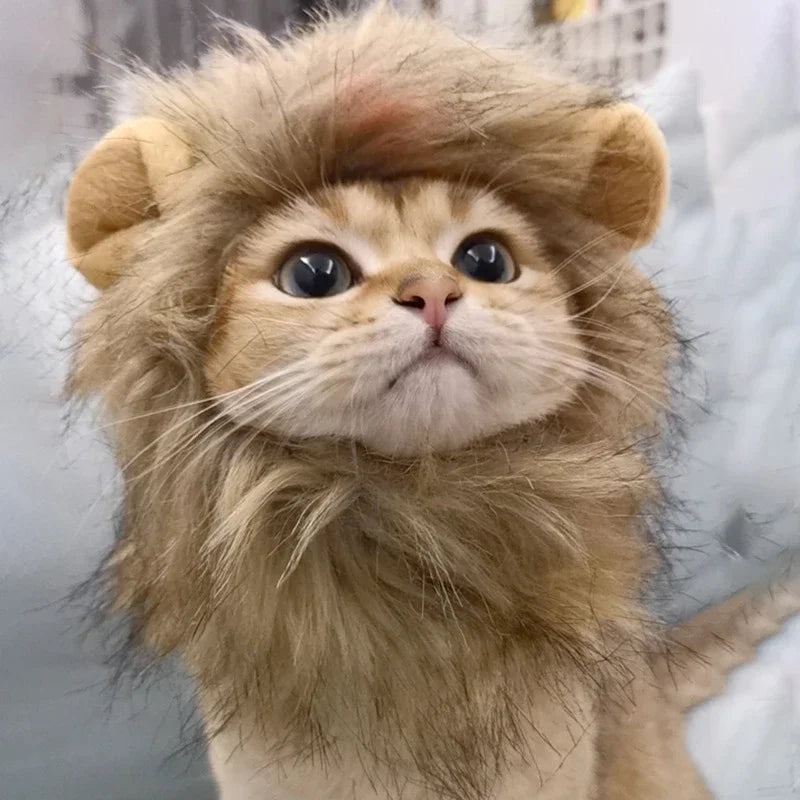 Pet Hairpiece Humorous Lion