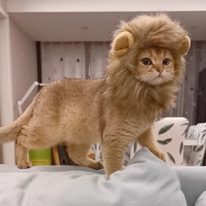 Pet Hairpiece Humorous Lion