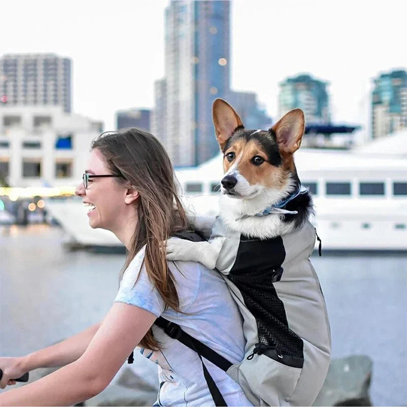 Strong Nylon Dog Carrier Backpack for Small Medium Dogs