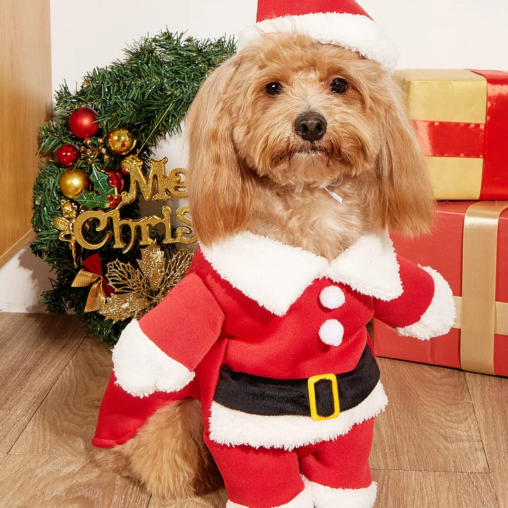 Christmas Dog Santa Costume Outfit