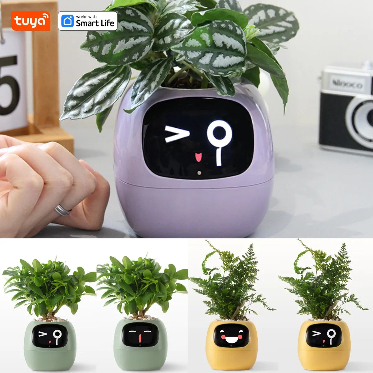 Ivy Tuya Smart Planter