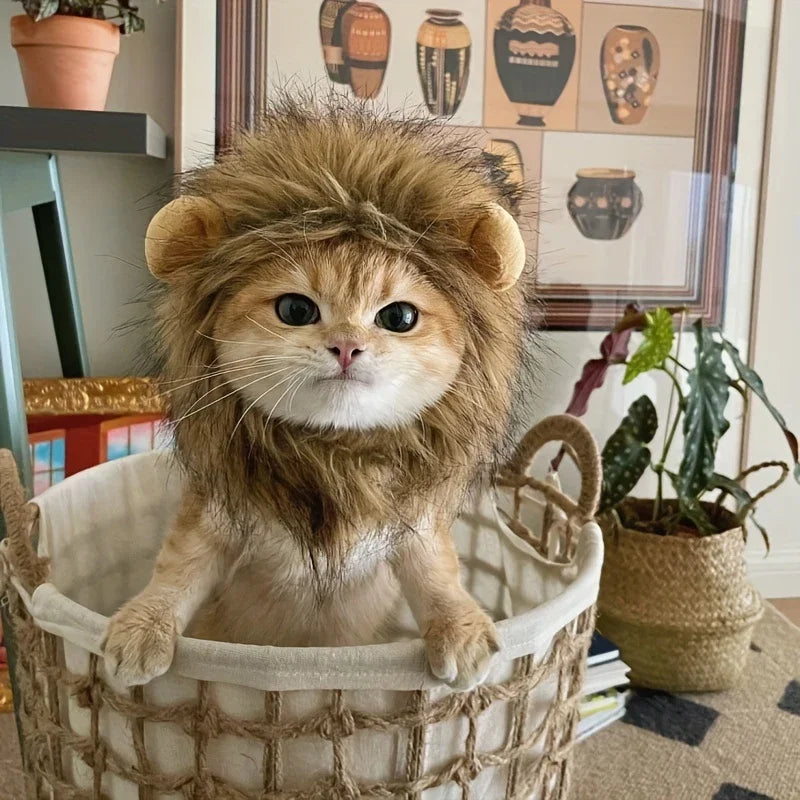 Pet Hairpiece Humorous Lion
