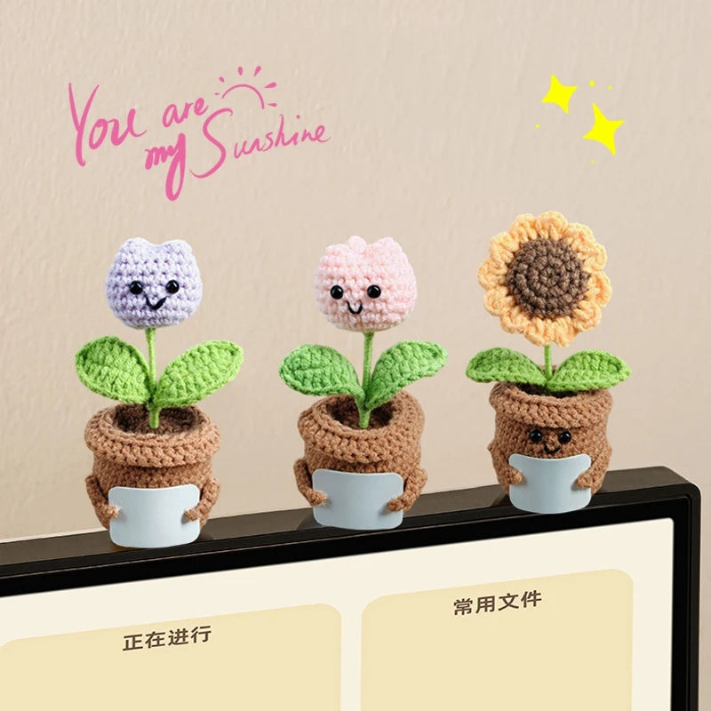 Crochet Flowers Potted Valentine's Day Gift