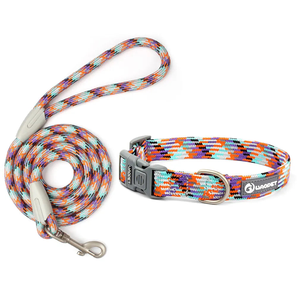 Leashes And Collar Set For  Dogs