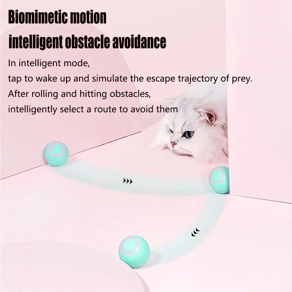 Smart Cat Toys Automatic Rolling Ball