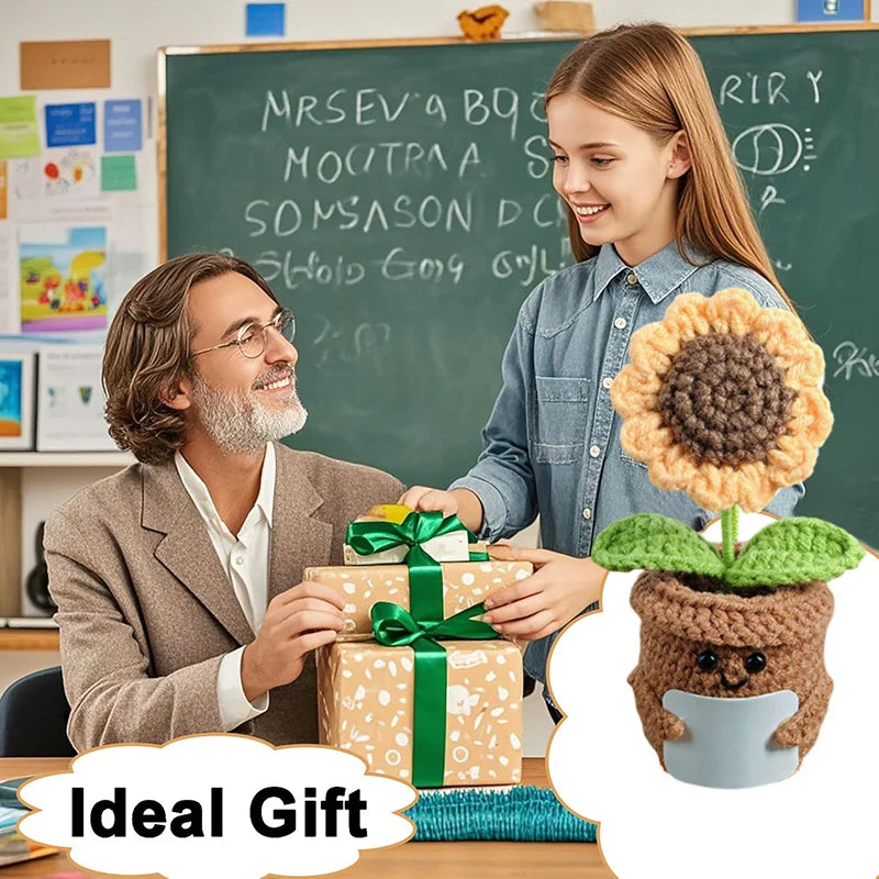 Crochet Flowers Potted Valentine's Day Gift