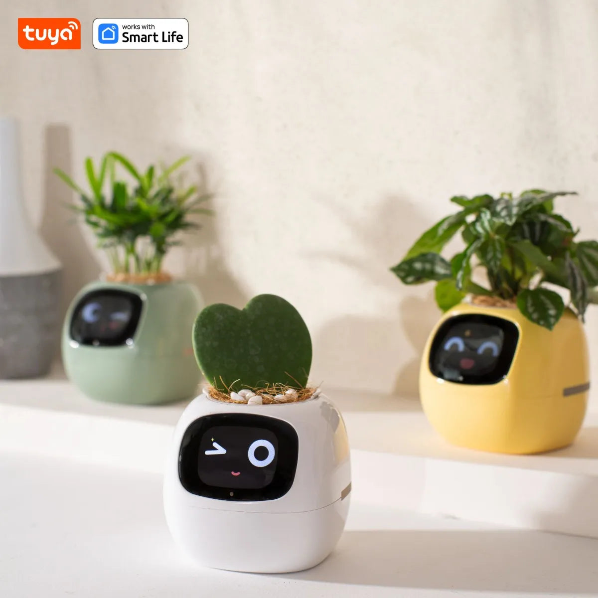 Ivy Tuya Smart Planter