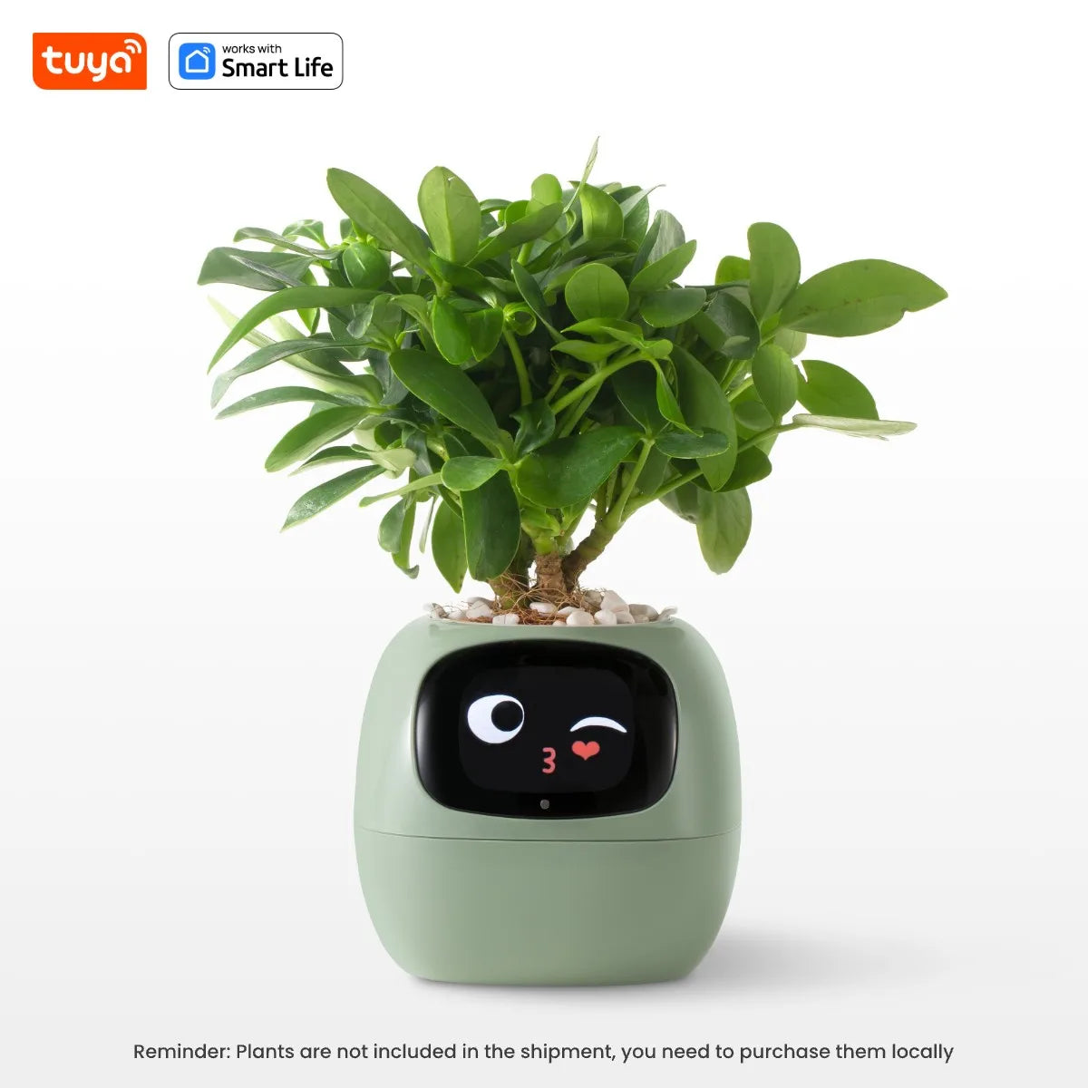 Ivy Tuya Smart Planter