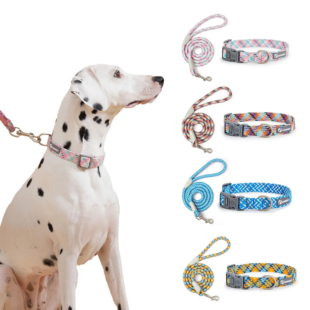 Leashes And Collar Set For  Dogs