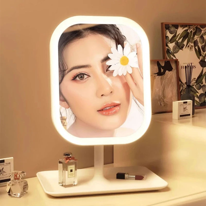 Niche Modern Desktop Vanity Mirror 3 Color Light LED